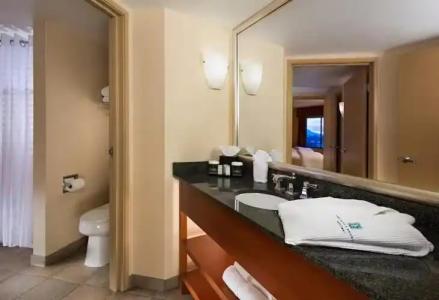 Embassy Suites Phoenix - Scottsdale - 36