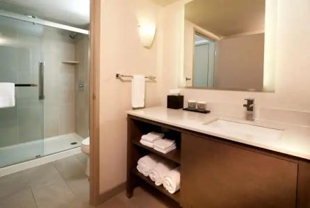 Embassy Suites Phoenix - Scottsdale - 9