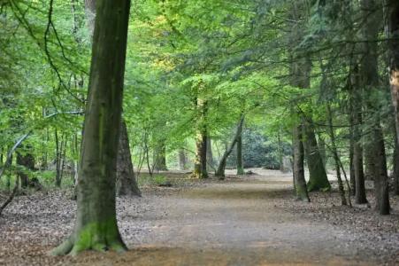 ParkMastbosch Breda - 48