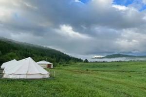 Кедровая Сова