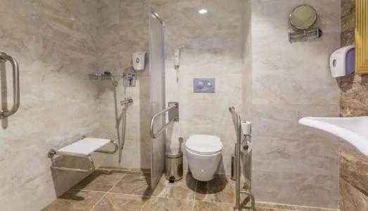 Mary Palace Resort & Spa - 106