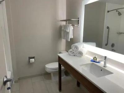 Holiday Inn Express South, An Ihg - 41