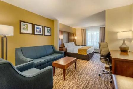 Comfort Suites - 21