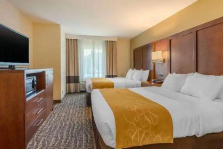 Comfort Suites - 31