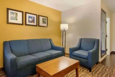 Comfort Suites - 25
