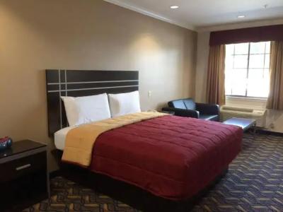 Palace Inn Kingwood - 2