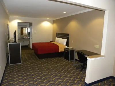 Palace Inn Kingwood - 13