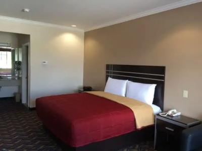 Palace Inn Kingwood - 20