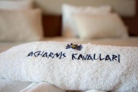 Acharnis Kavallari Suites - 17