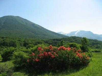 Crown Palais Aomori - 16