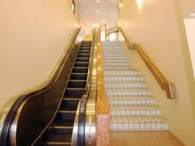 Pearl City Morioka - 10