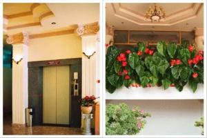 Dragon King 1 Hotel, Далат