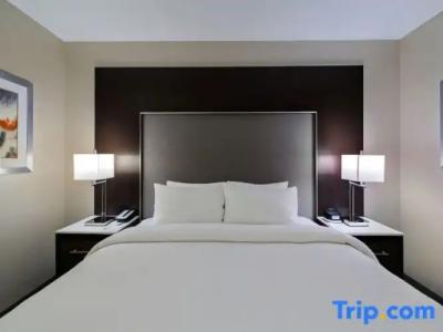 Fairfield Inn & Suites by Marriott Boston - 42
