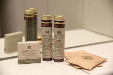 o Lyon Charité - 31