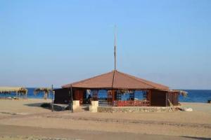 Гостевой дом «Crazy Horse Camp», Нувейба