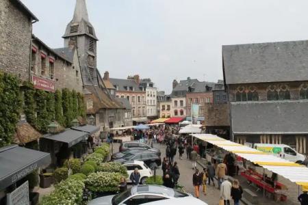 Le Dauphin Les Loges - 44