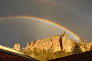 Хостел «Lotte - The Backpackers», Хайдельберг