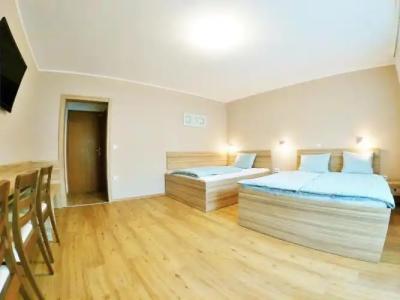 Guest house Stara lipa Tašner - 11