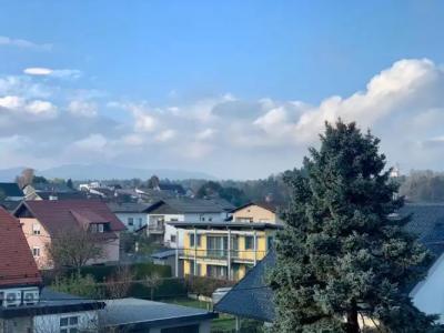 Guest house Stara lipa Tašner - 43