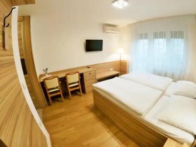 Guest house Stara lipa Tašner - 30