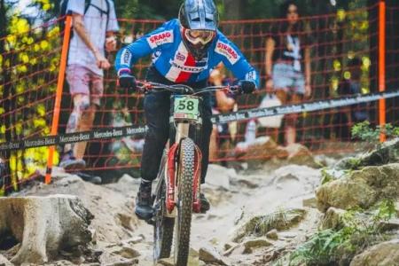 Guest house Stara lipa Tašner - 7