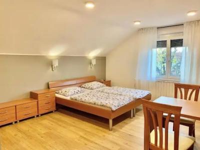 Guest house Stara lipa Tašner - 40