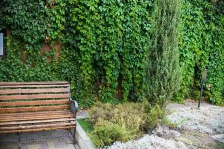 Любе Плюс - 11