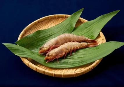 Shinwaka Lodge - 35
