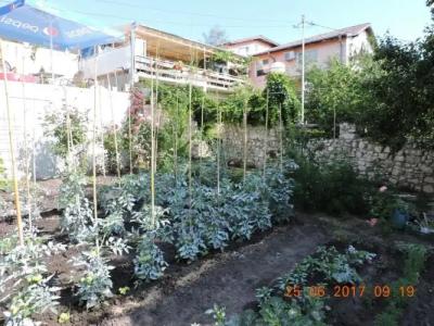 Vila Chasovnikarov - 30