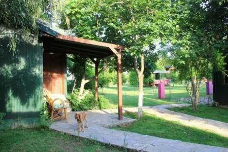 Esralina Pension - 35