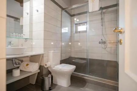 Ellinon Thea Arachova - 70