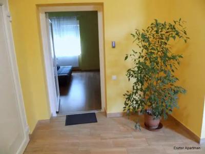 Eszter Apartman - 24