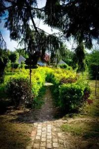 Пригодичи - 2