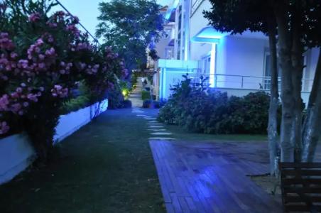 Island - 39