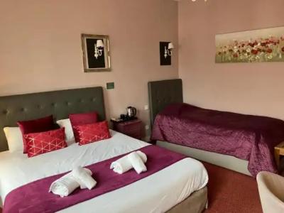 Hôtel de la Côte Fleurie - 19