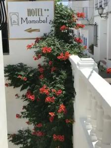 Mamabels - 0
