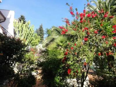 Residence Dei Fiori - 53