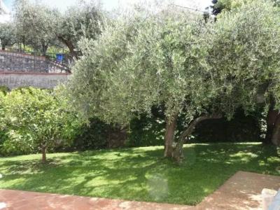 Residence Dei Fiori - 23