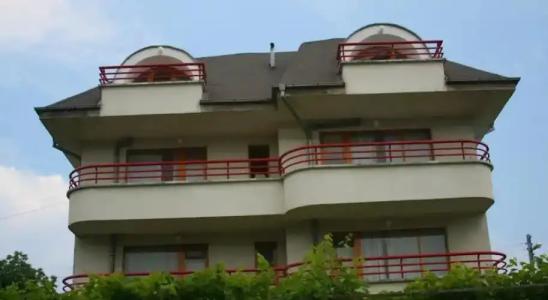 Victoria Sinemorets Guest House - 8