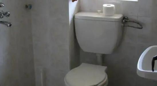 Victoria Sinemorets Guest House - 11