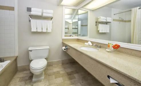 Wyndham Orlando Resort & Conference Center, Celebration Area - 9