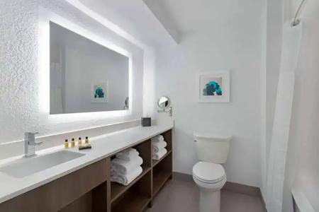 Wyndham Orlando Resort & Conference Center, Celebration Area - 73