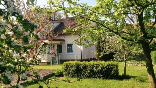 У Рыбного двора - 0