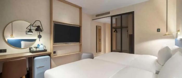 Hilton Garden Inn Tbilisi Riverview - 101