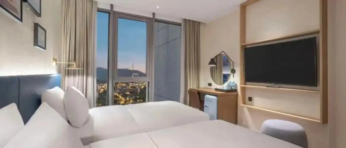 Hilton Garden Inn Tbilisi Riverview - 105