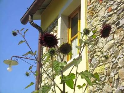 B&B Il Girasole - 8