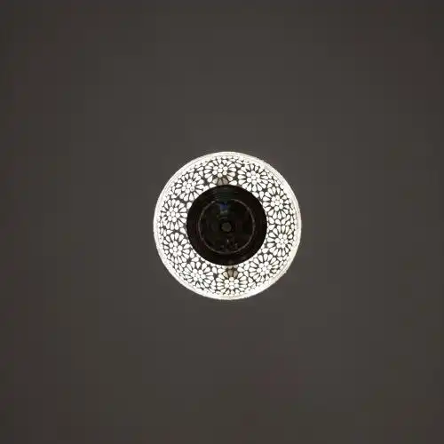 Jai Niwas Garden - 26