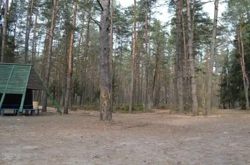 Столица - 33