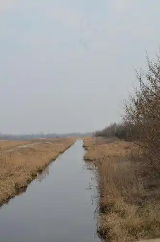 Столица - 2