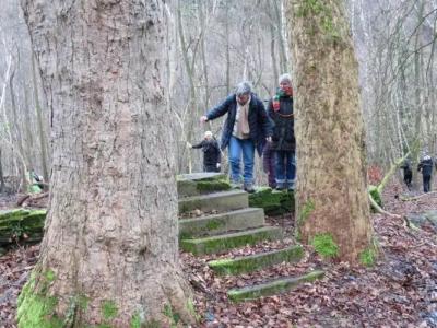 Frauenpension Arleta - Women only - 9